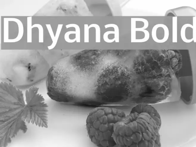 Dhyana Bold Example 3