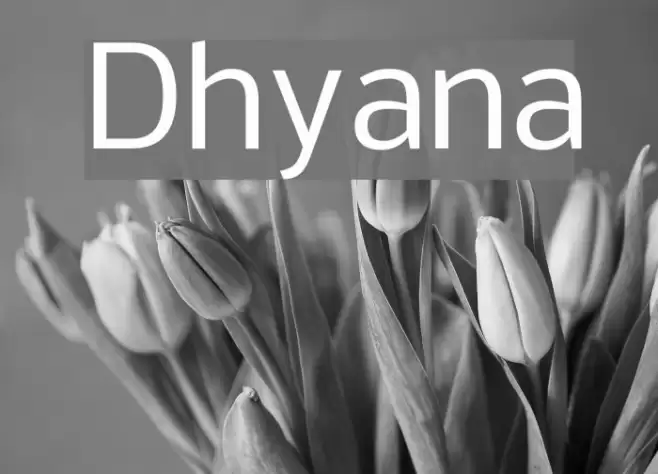 Dhyana Font examples