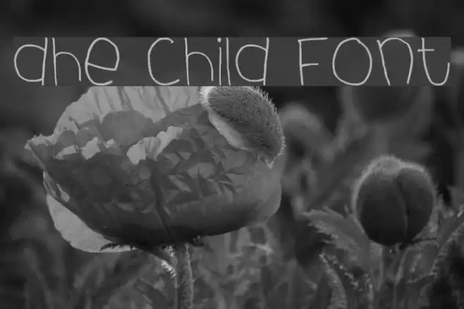 dhe child font Font examples