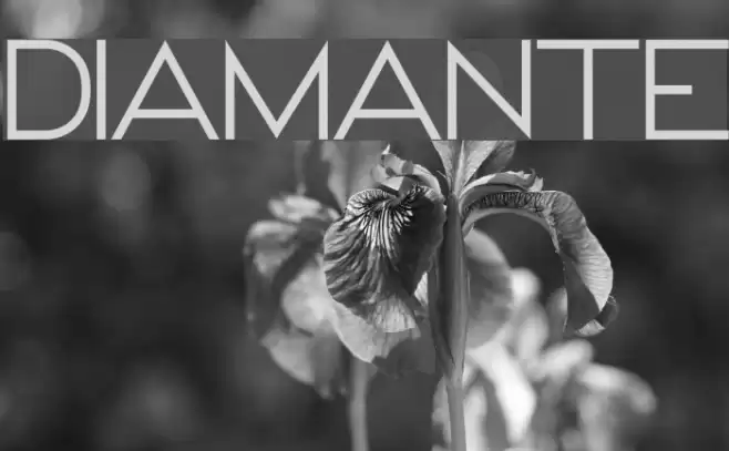 DIAMANTE Font examples