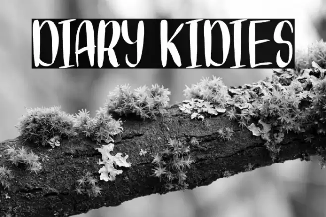 DIARY KIDIES Font examples