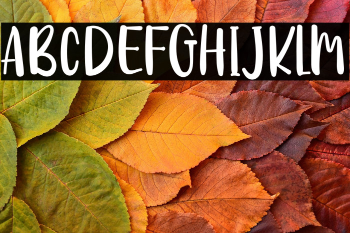 DIARY Panda Example 1