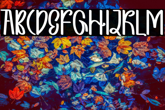 DIARY RABBIT Example 2