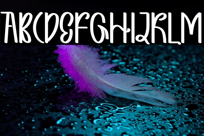 DIARY RABBIT Example 3