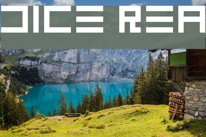 DICE Regular Font examples