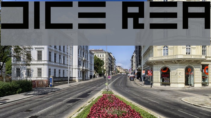 DICE Regular Font examples