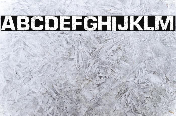 DIESELPOWER PERSONAL USE  Example 1