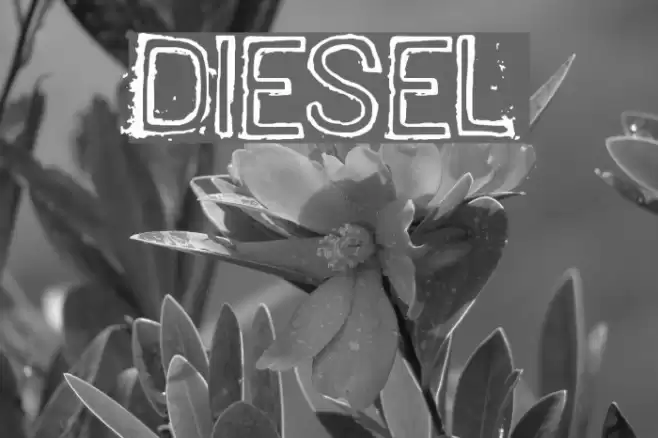 DIESEL Polices examples