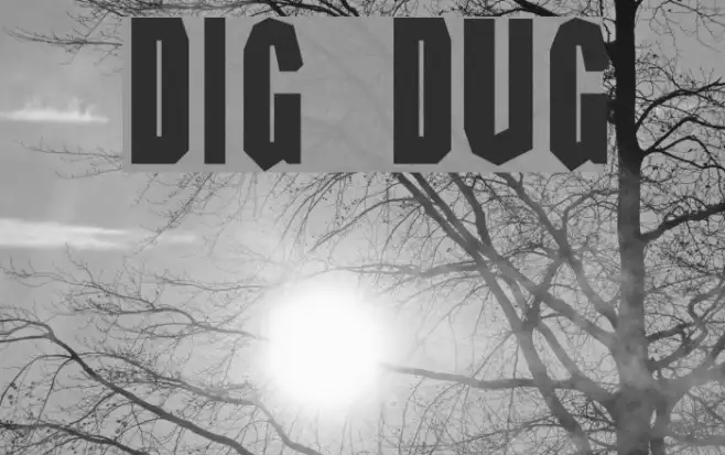 DIG DUG Example 2
