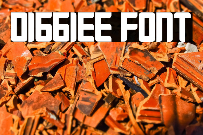 DIGGIEE FONT Example 1