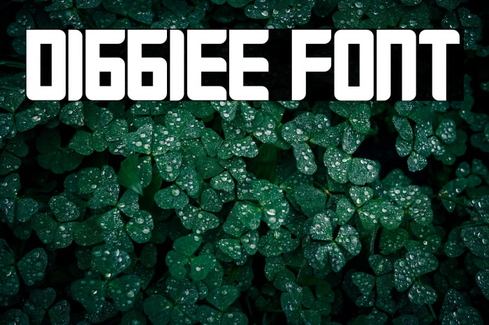 DIGGIEE FONT Example 2