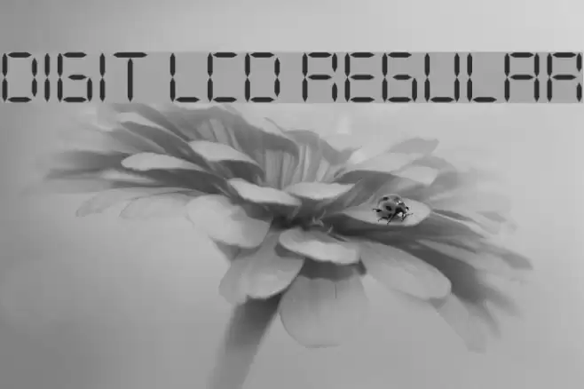 DIGIT LCD Regular Font examples