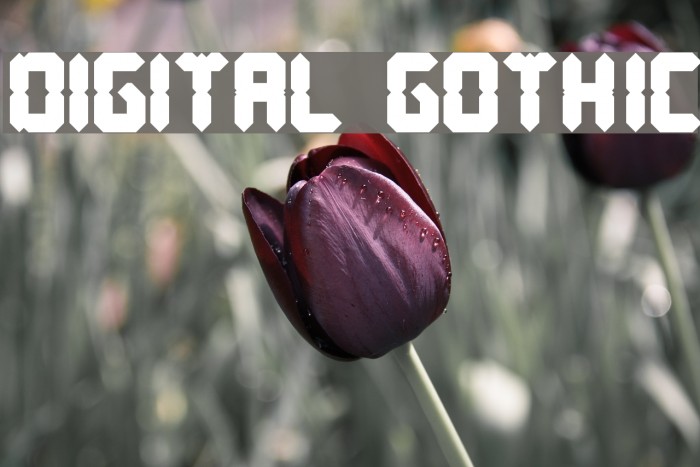 DIGITAL GOTHIC Font examples