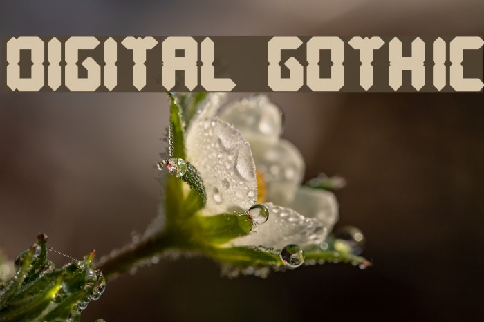 DIGITAL GOTHIC Font examples