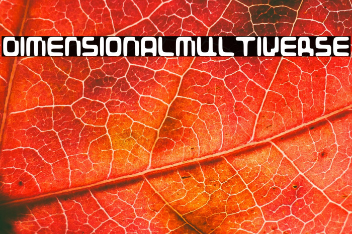 DIMENSIONALMULTIVERSE Example 3