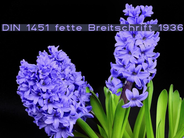 DIN 1451 fette Breitschrift 1936 Font examples