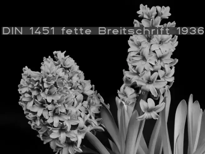 DIN 1451 fette Breitschrift 1936 Fonte examples