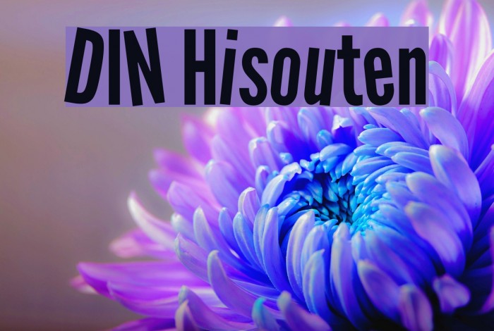 DIN Hisouten Font examples