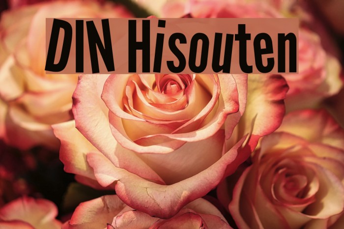 DIN Hisouten Font examples