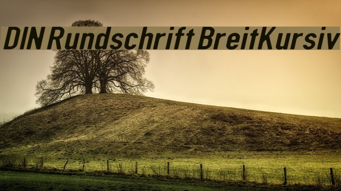 DIN Rundschrift BreitKursiv Font examples
