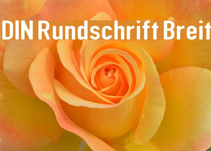 DIN Rundschrift Breit フォント examples