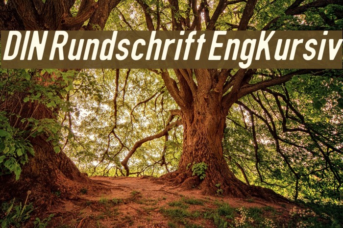 DIN Rundschrift EngKursiv Font examples