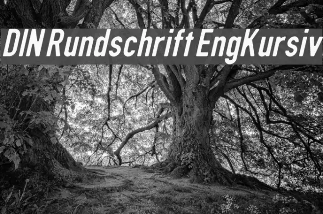 DIN Rundschrift EngKursiv Example 1