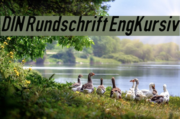 DIN Rundschrift EngKursiv Font examples