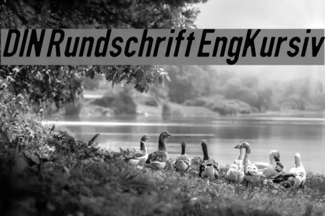 DIN Rundschrift EngKursiv Example 2