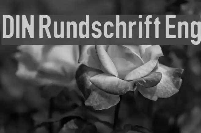 DIN Rundschrift Eng Font examples