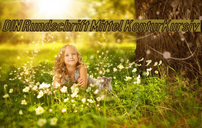 DIN Rundschrift Mittel KonturKursiv Font examples