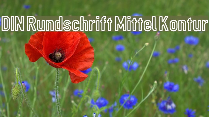 DIN Rundschrift Mittel Kontur Font examples