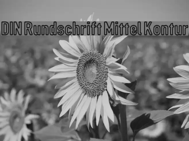 DIN Rundschrift Mittel Kontur Example 3