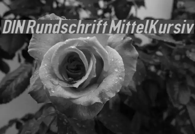 DIN Rundschrift MittelKursiv Font examples