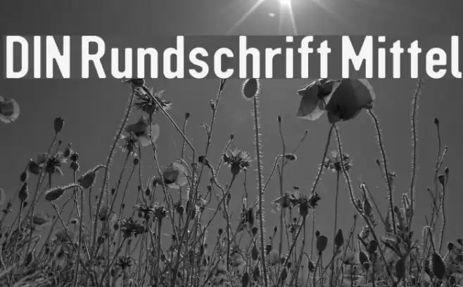 DIN Rundschrift Mittel Font examples