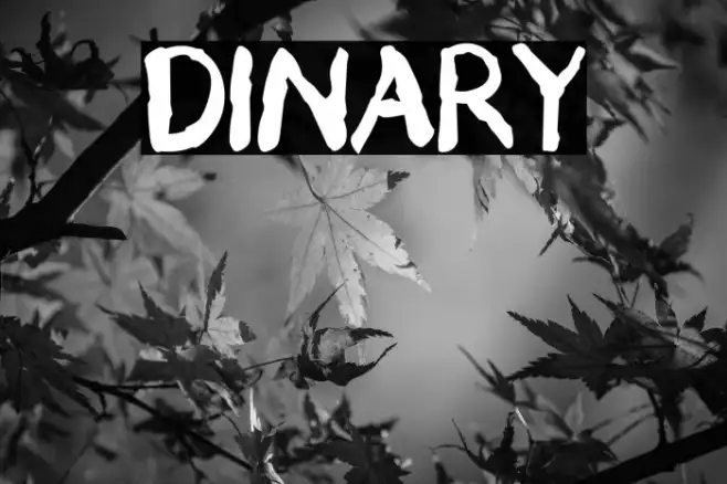 DINARY Example 1