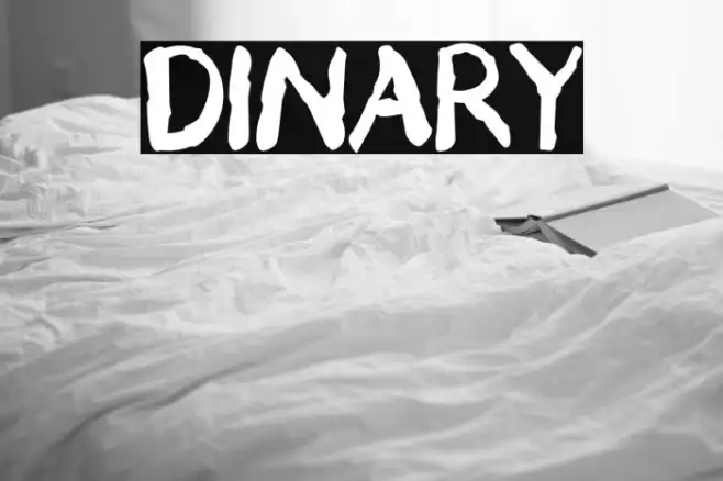 DINARY Example 2