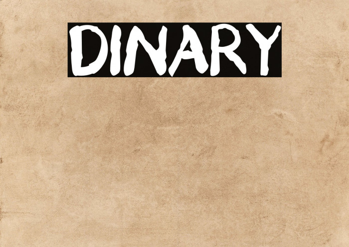 DINARY Example 3