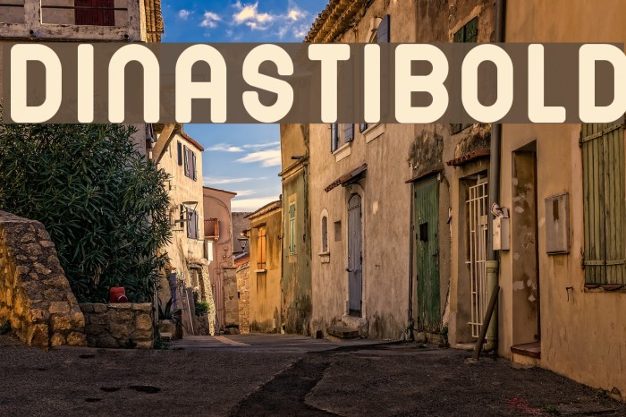 DINASTI-Bold Font examples