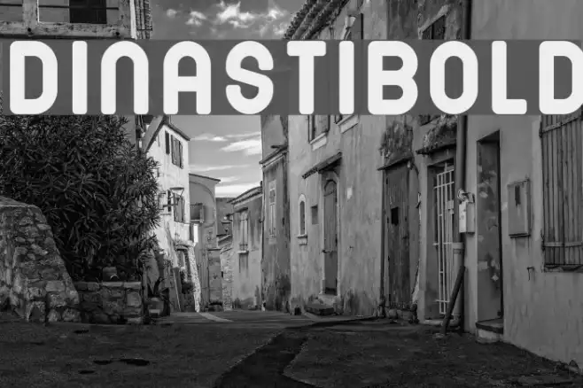DINASTI-Bold Example 1