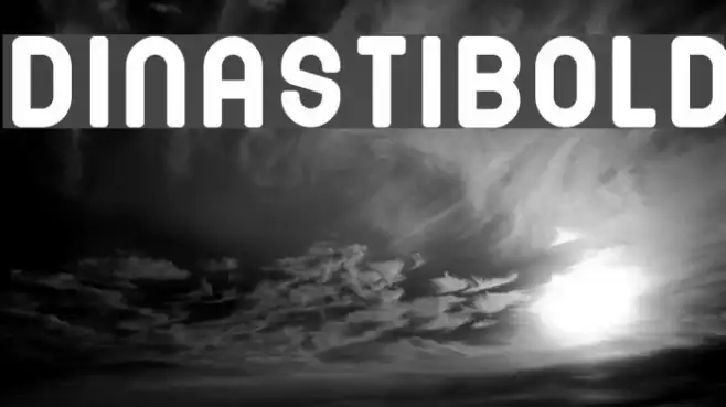 DINASTI-Bold Example 2