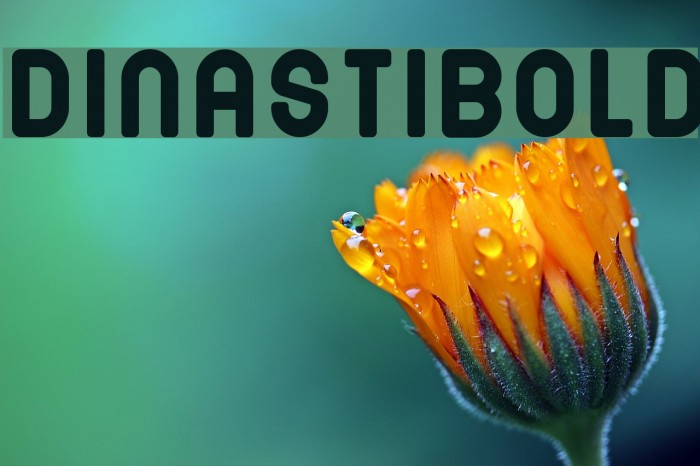 DINASTI-Bold Font examples
