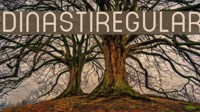 DINASTI-Regular Font examples
