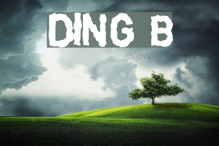 DINGarbageschrift Bold Example 2