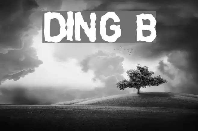 DINGarbageschrift Bold Font examples