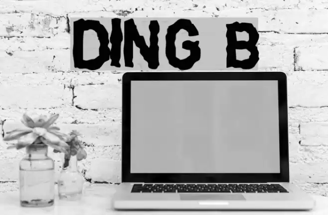 DINGarbageschrift Bold Font examples