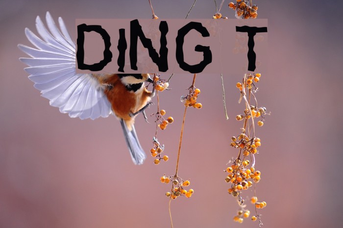 DINGarbageschrift Thin Font examples