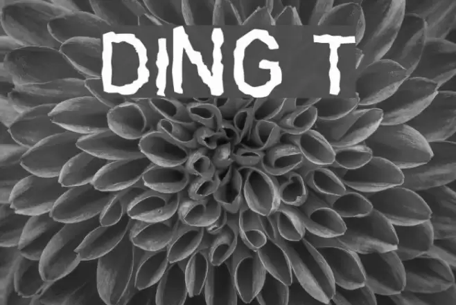 DINGarbageschrift Thin Font examples