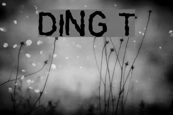 DINGarbageschrift Thin Font examples