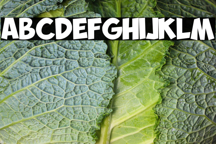 DINO STAR DEMO Example 1